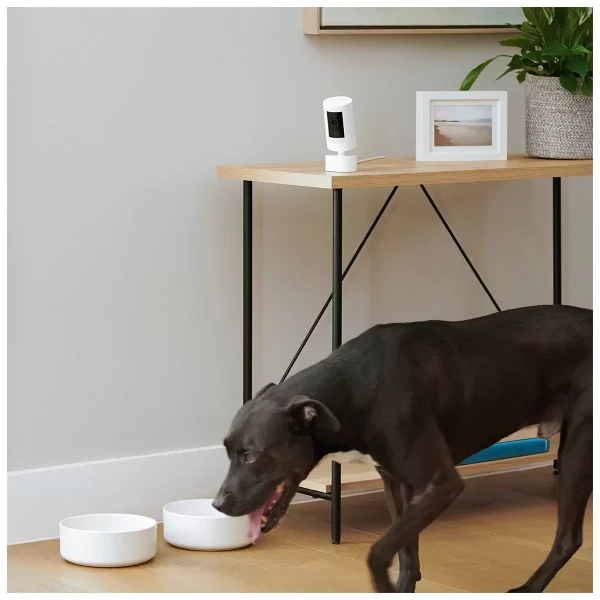 ring stick up cam 2 pack and pan tilt mount with indooroutdoor power adapter 2 pack