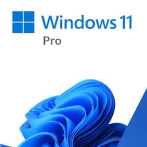 Microsoft Windows 11 Professional 64-bit